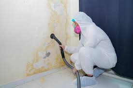 Best Mold Odor Removal Services  in Lake Erie Beach, NY